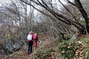 13 Nel bosco di carpine nero
